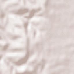 Benedita Terrain Map