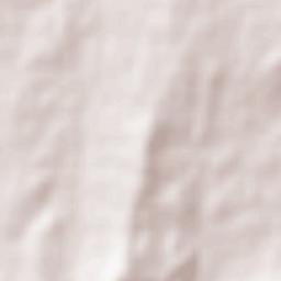 Santa Cruz de la Sierra Terrain Map