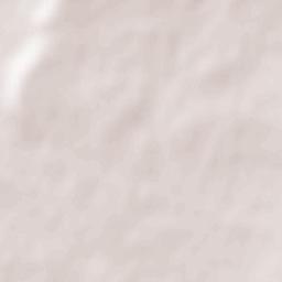 Ses Salines Terrain Map