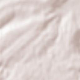 Serra de El-Rei Terrain Map