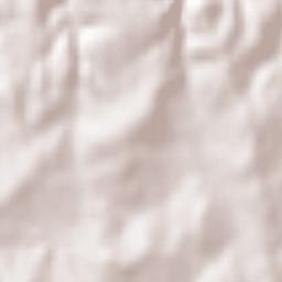 Reguengo Grande Terrain Map