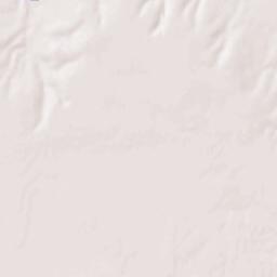 Plainville Terrain Map