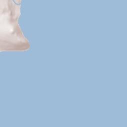 Dollar Point Terrain Map