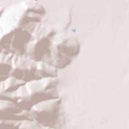 Carson City Terrain Map