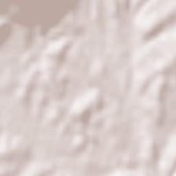 Abrigada Terrain Map