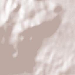 Néos Oropós Terrain Map