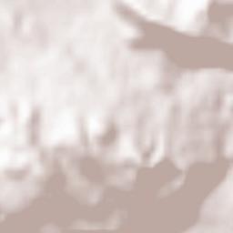 Santa Cruz da Graciosa Terrain Map