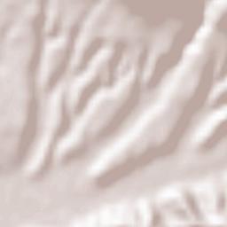 Pianopoli Terrain Map