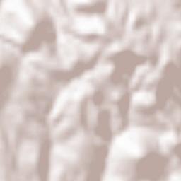 Venda do Pinheiro Terrain Map