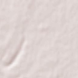 Benavente Terrain Map