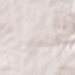 Campanario Terrain Map