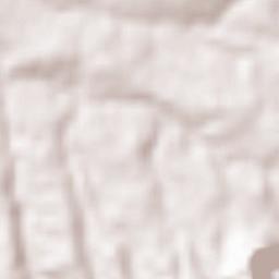 Ráfol de Salem Terrain Map