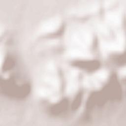 San Carlos del Valle Terrain Map