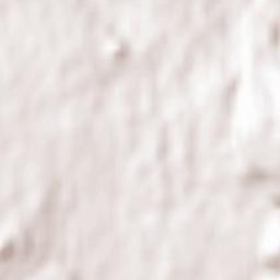 Biscoitos Terrain Map