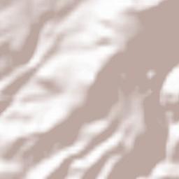 Filadelfia Terrain Map