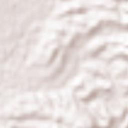 Shinjō Shi Terrain Map