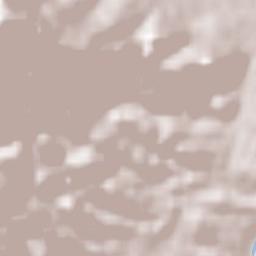 Cocentaina Terrain Map