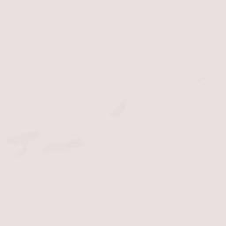 Woodland Terrain Map