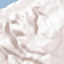 Parghelia Terrain Map