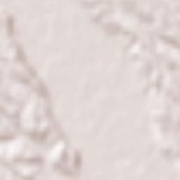 Ōsaki Shi Terrain Map