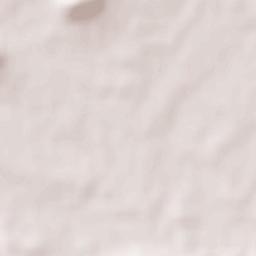 Santa Cruz de Mudela Terrain Map