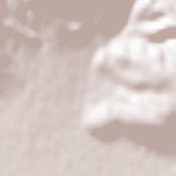 Eláteia Terrain Map