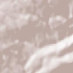 Rombiolo Terrain Map