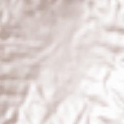 Serra San Bruno Terrain Map