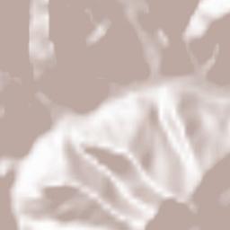 Varzeqān Terrain Map