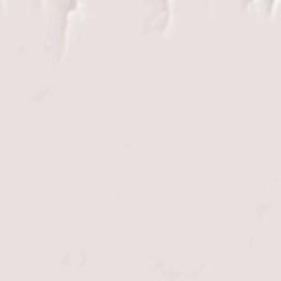 Lane County Terrain Map