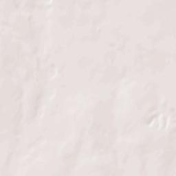 Ness County Terrain Map