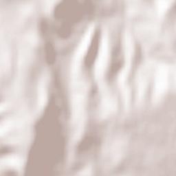 Salvaleón Terrain Map