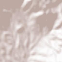 Alacakaya İlçesi Terrain Map