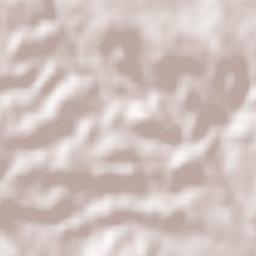 Valle de Matamoros Terrain Map