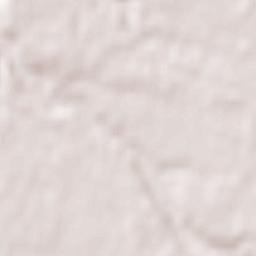 Rizziconi Terrain Map