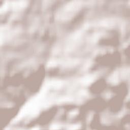 Santa Elena Terrain Map