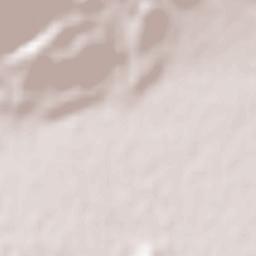 Gürpınar Terrain Map