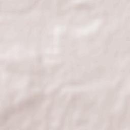 Bienvenida Terrain Map