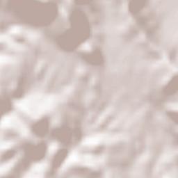 Trasierra Terrain Map