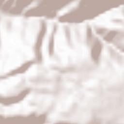 Santo Stefano in Aspromonte Terrain Map