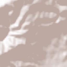 Nagai-shi Terrain Map