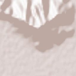 Redován Terrain Map