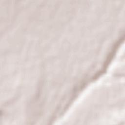 Metamórfosi Terrain Map