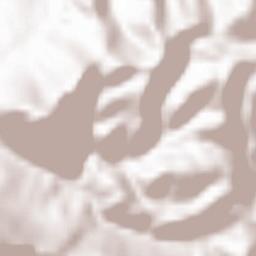 Villa Ciambra Terrain Map