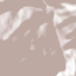 Çatak İlçesi Terrain Map