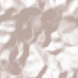 Floresta Terrain Map