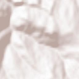 Aliminusa Terrain Map