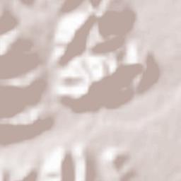 Hashtpar Terrain Map