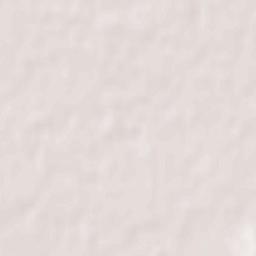 Niitsu-honchō Terrain Map