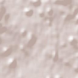 São Roque Terrain Map